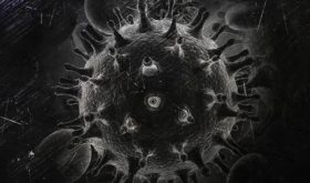 Заболеваемость коронавирусом продолжает снижаться. 2015 случаев болезни и 97 смертей за сутки
