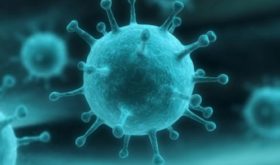 Европейские страны принимают беспрецедентные меры для борьбы с коронавирусом