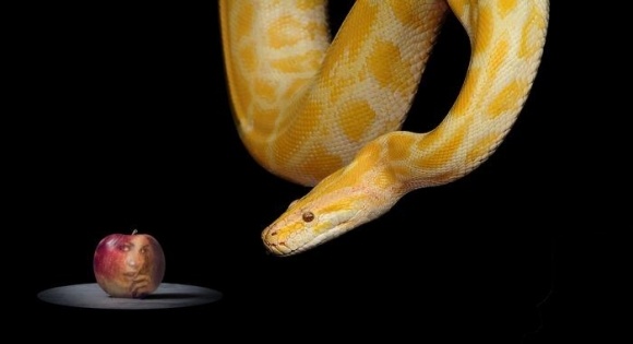 Токсичная красота: как работает змеиный яд в уходовой косметике
