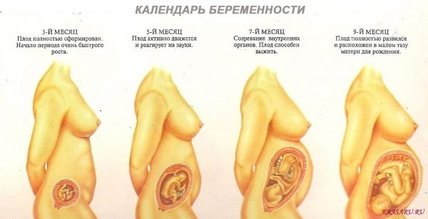 Как подготовиться к первой беременности?