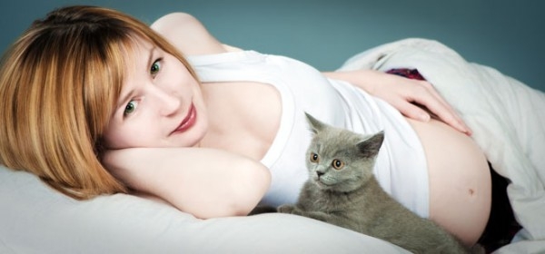 Опасны ли кошки беременным?