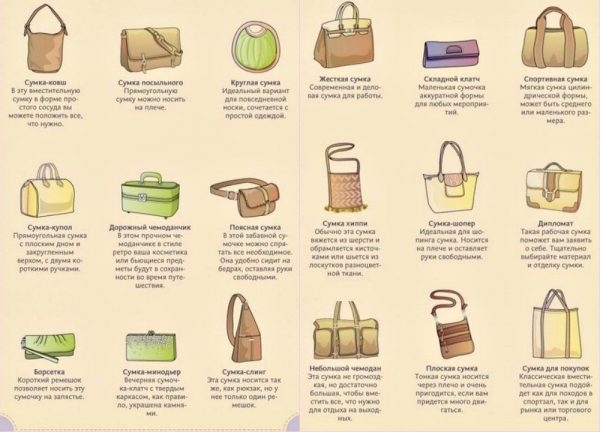 Основные виды сумок