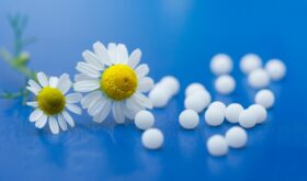 Гомеопатия, как метод лечения