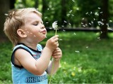 Детская аллергия: что включает в себя профилактика?