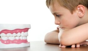 Развитие зубочелюстной системы: правильный и неправильный прикус