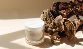 Ферментированные грибы: как они стали новым громким трендом в уходе за кожей